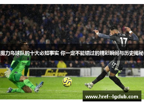 魔力鸟球队的十大必知事实 你一定不能错过的精彩瞬间与历史揭秘